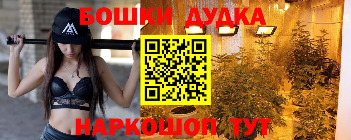 Бошки Шишки Amnesia  Каннабис семена  Марихуана конопля  Карачаевск  Вход с VPN 